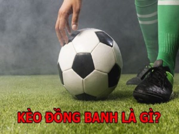 Đồng banh là gì? Kinh nghiệm đặt cược kèo chấp đồng banh? Đồng banh là gì? Kinh nghiệm đặt cược kèo chấp đồng banh?