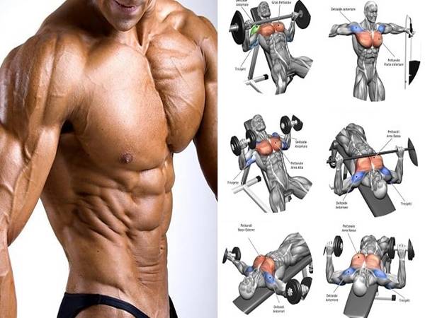 Các bài tập ngực tại nhà đúng cách và hiệu quả nhất 
