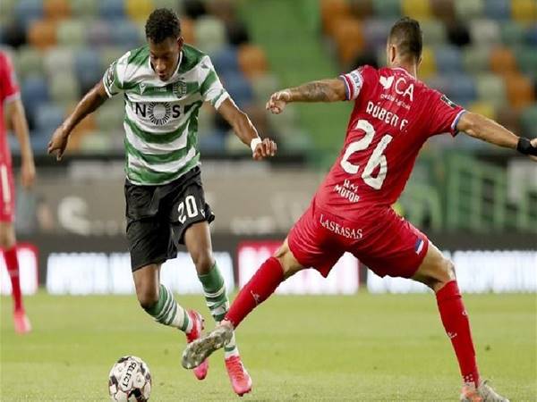 Dự đoán Sporting Lisbon vs Gil Vicente (3h15 ngày 5/12) Dự đoán Sporting Lisbon vs Gil Vicente (3h15 ngày 5/12)